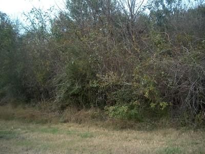Farm and Ranch in Wharton County, Texas