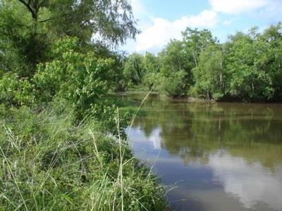Farm and Ranch in Wharton County, Texas