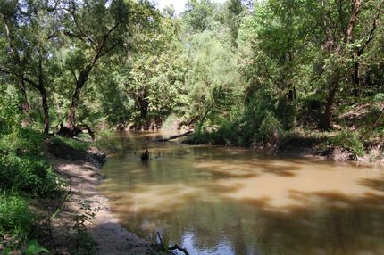 Farm and Ranch in Brazoria County, Texas
