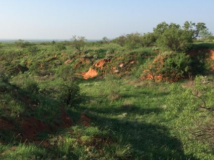 Farm and Ranch in Cottle County, Texas