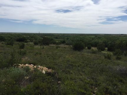 Undeveloped Land in Runnels County, Texas