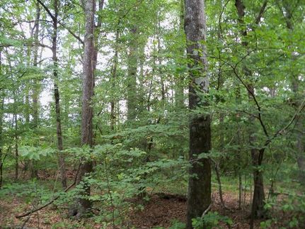 Land in Ouachita County, Arkansas