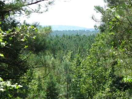 Farm and Ranch in Pike County, Arkansas