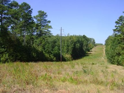 Farm and Ranch in Cass County, Texas