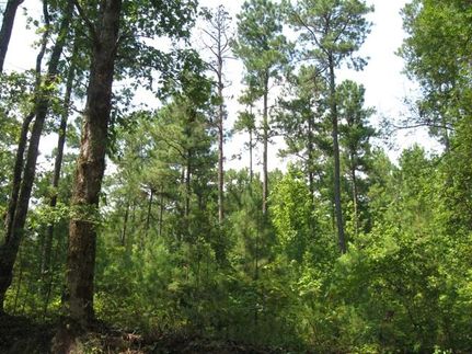 Farm and Ranch in Clark County, Arkansas