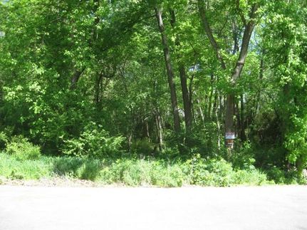 Oceanfront Property in Montgomery County, Arkansas