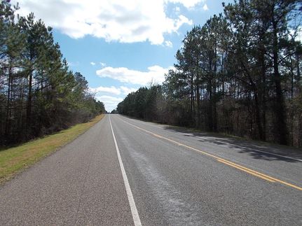 Timberland Property in Tyler County, Texas