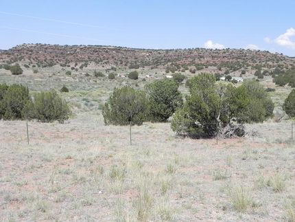 Farm and Ranch in Debaca County, New Mexico