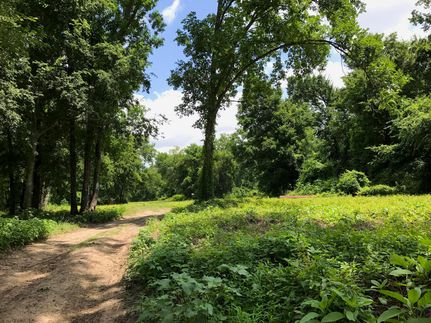 Timberland Property in Hopkins County, Texas