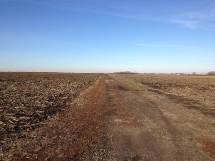 Farm and Ranch in Ford County, Illinois