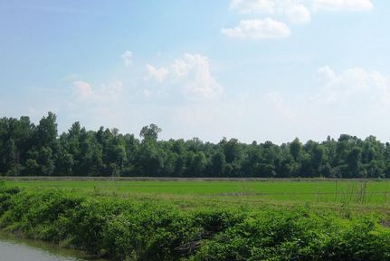 Land in Ripley County, Missouri