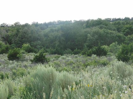 Recreational Property in Donley County, Texas
