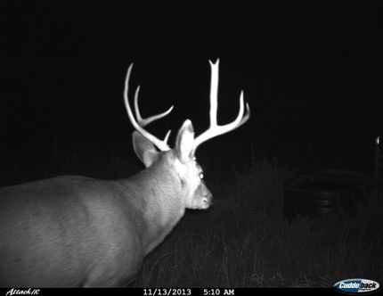 Recreational Property in Donley County, Texas