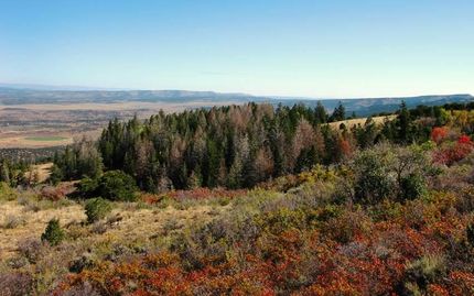 Farm and Ranch in Duchesne County, Utah