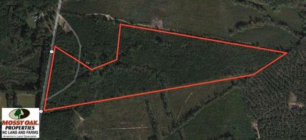 Undeveloped Land in Halifax County, North Carolina