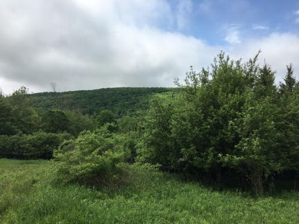 Farm and Ranch in Cortland County, New York
