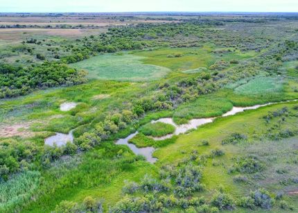 Timberland Property in Hardeman County, Texas