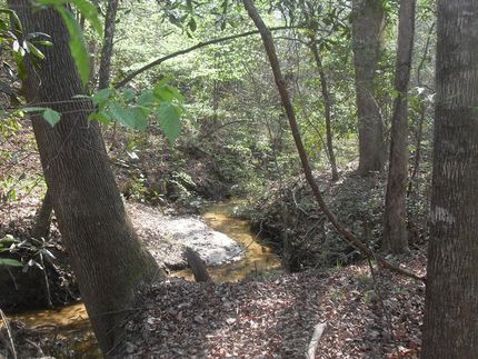 Farm and Ranch in Randolph County, Georgia