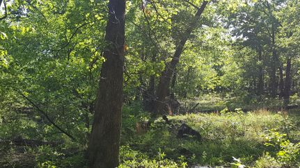 Farm and Ranch in Chautauqua County, Kansas