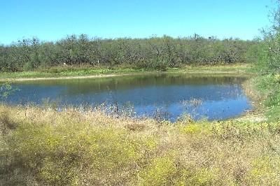 Land in Coleman County, Texas