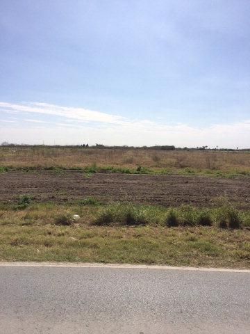 Undeveloped Land in Hidalgo County, Texas