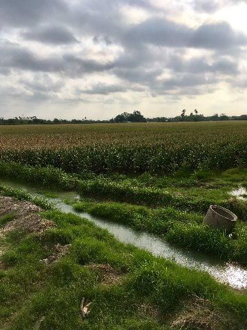 Farm and Ranch in Hidalgo County, Texas