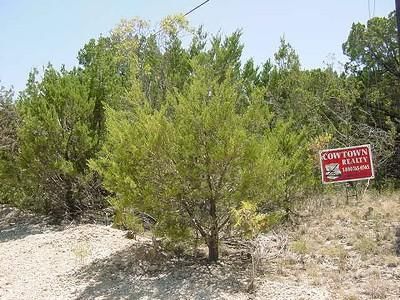 Timberland Property in Johnson County, Texas