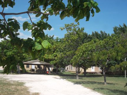 Undeveloped Land in Johnson County, Texas