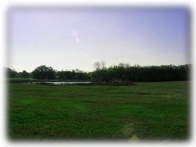 Farm and Ranch in Hill County, Texas