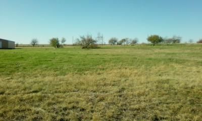 Farm and Ranch in Johnson County, Texas
