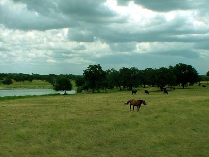Farm and Ranch in Burnet County, Texas