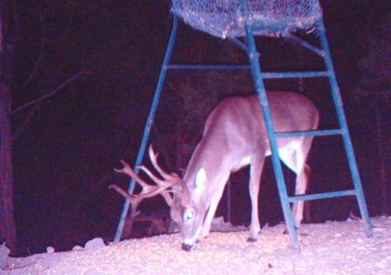 Land in Lampasas County, Texas
