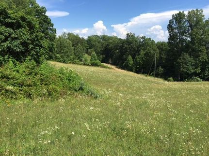 Land in Pulaski County, Kentucky