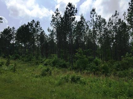 Farm and Ranch in Decatur County, Tennessee