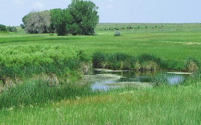 Farm and Ranch in Oldham County, Texas