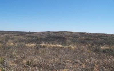 Farm and Ranch in Bailey County, Texas