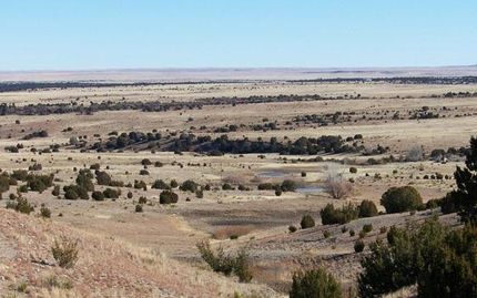 Waterfront Property in Harding County, New Mexico