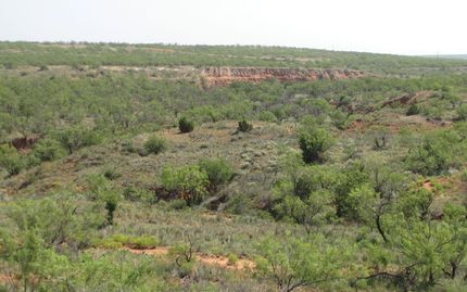 Land in Kent County, Texas