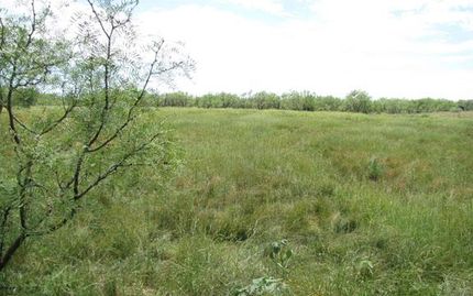 Farm and Ranch in Dickens County, Texas