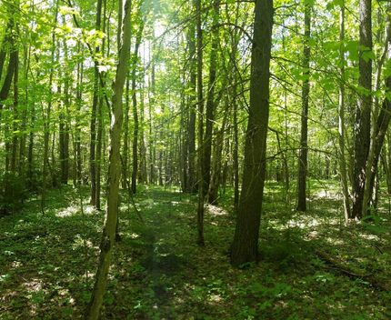 Farm and Ranch in Oneida County, New York