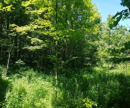 Recreational Property in Oneida County, New York