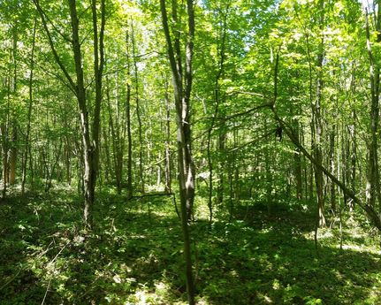 Commercial Property in Oneida County, New York