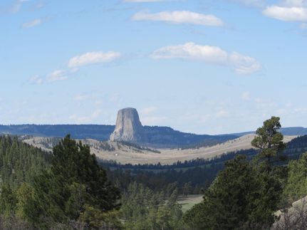 Timberland Property in Crook County, Wyoming