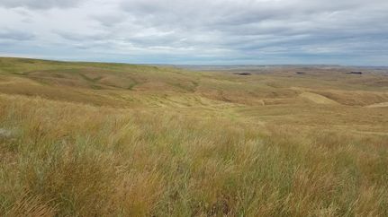 Farm and Ranch in Columbia County, Washington