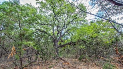 Land in Palo Pinto County, Texas