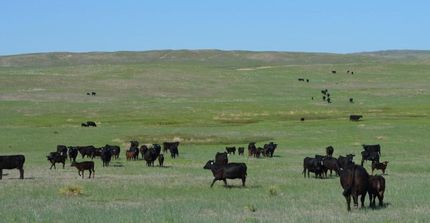 Farm and Ranch in Garden County, Nebraska