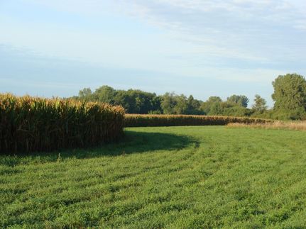 Farm and Ranch in McLean County, Illinois
