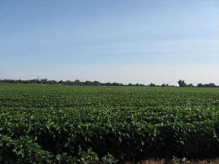 Farm and Ranch in Macon County, Illinois
