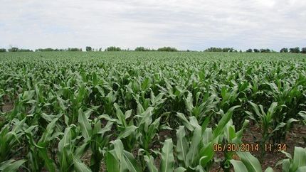 Farm and Ranch in Day County, South Dakota