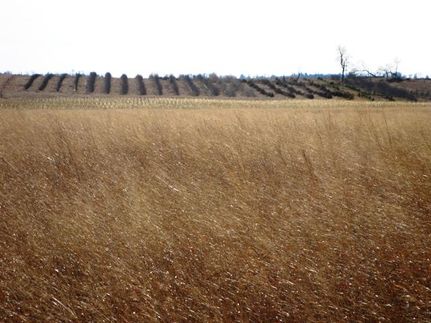 Farm and Ranch in Brookings County, South Dakota